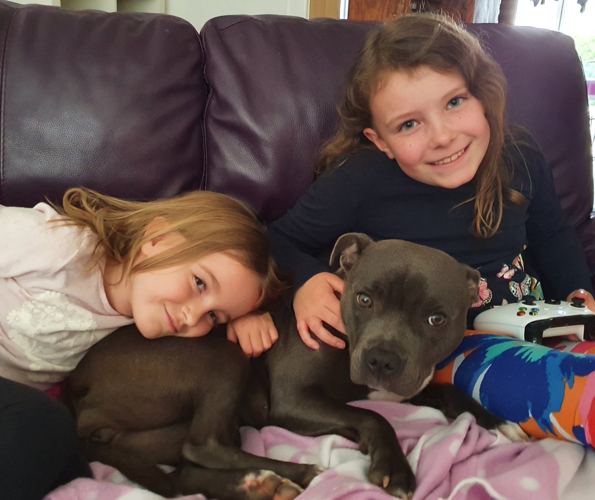 1980_parker's tweet photo. @thismorning @thismorning @Schofe @hollywills My daughters Lucia &amp; Belle with our 11 month old pup Safi 🥰 https://t.co/TmGE8DTvIo