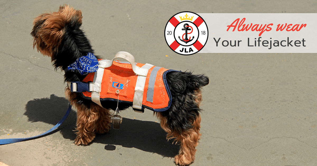 jerseylifeboats's tweet photo. We know: lifejackets can seem cumbersome and uncomfortable, not to mention un-stylish! We get it. That’s not what they’re for though.
Find out why at https://t.co/Q4DMSN8G1y
#YourBoat #YourCrew #StaySafe #WearYourVest #LifeJackets https://t.co/6Nxu6ZsjUl