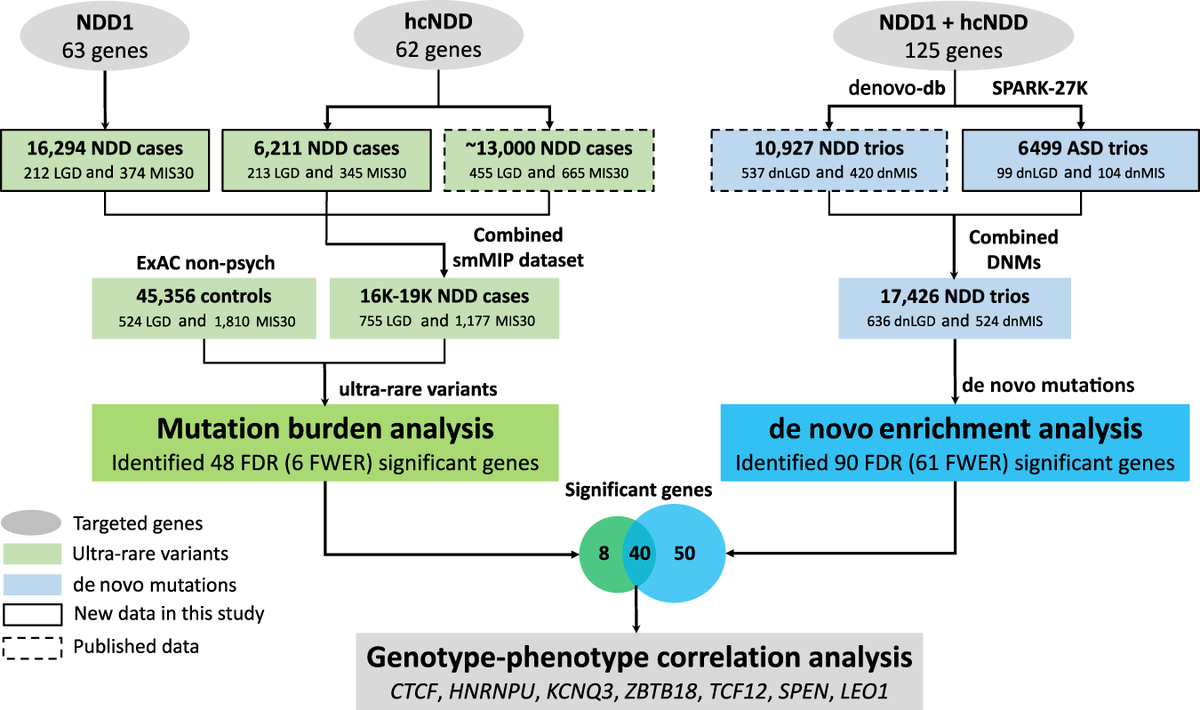 ensembl's tweet photo. New risk genes for neurodevelopmental disorders identified by targeted #sequencing and comparison to #ExAc data
#CitedEnsembl #EnsemblVEP @NatureComms https://t.co/Mts97T3Lh2 https://t.co/qqVu7t4CFi