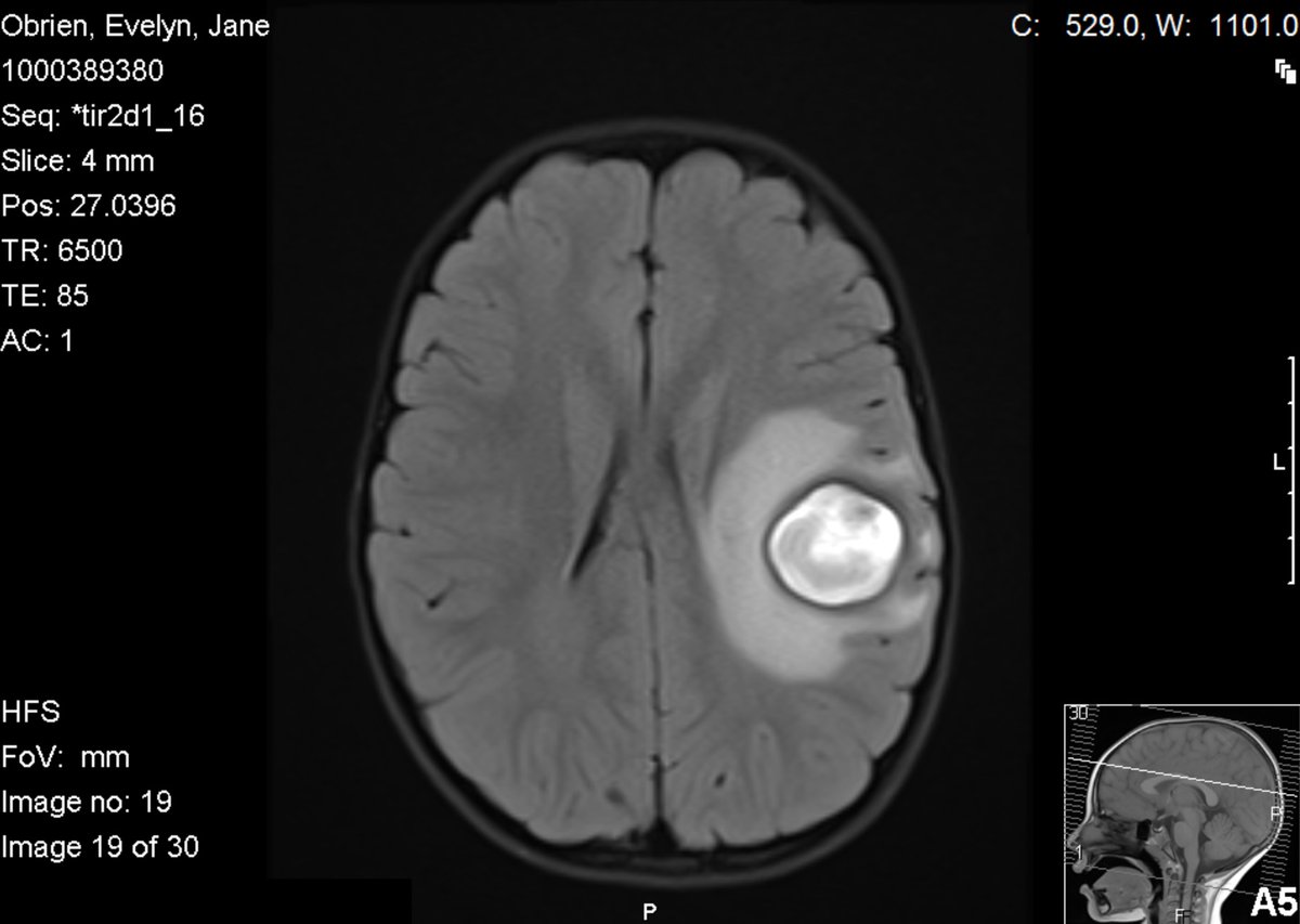 Nolan O'Brien tweet media