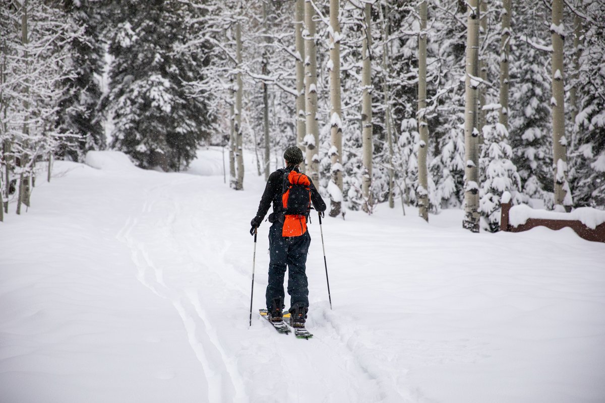 skirackvt's tweet photo. Introducing #Splitboards from @NitroSnowboards: the Doppleganger &amp; The Squash. More info:

https://t.co/mZqVPe0Fka

Our #snowboarding department has seen an uptick of interest in #splitboarding and #backcountry gear already. Stock won't last long. https://t.co/YoCRH91UC2
