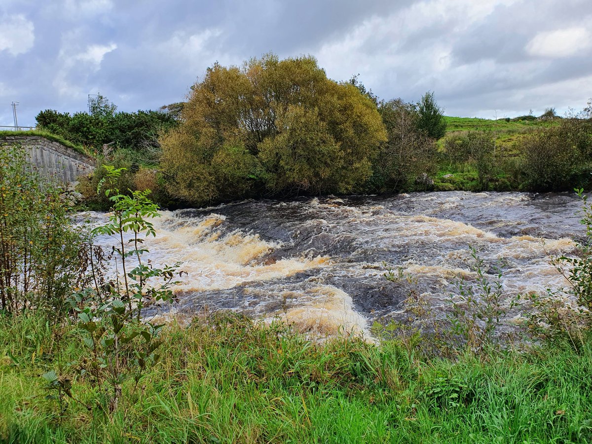 lyn_foley's tweet photo. Day 279 of #100daysofwalking #365daysofwalking #Sligo #leitrim #riverduffwalk #duffriverwalk #Ireland #WildAtlanticWay https://t.co/5x17S2IPHP