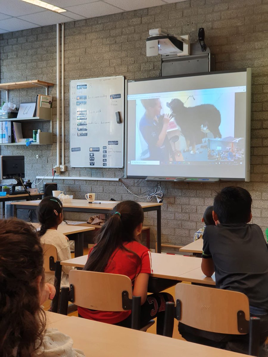 In coronatijd gaat het trimmen van honden gewoon door. Les daarover trouwens ook, maar dan wel met een live videoverbinding. Dit keer voor groep 3 van OBS Nelson Mandela 😉👩‍🎓🐩. #onderwijs #rotterdam