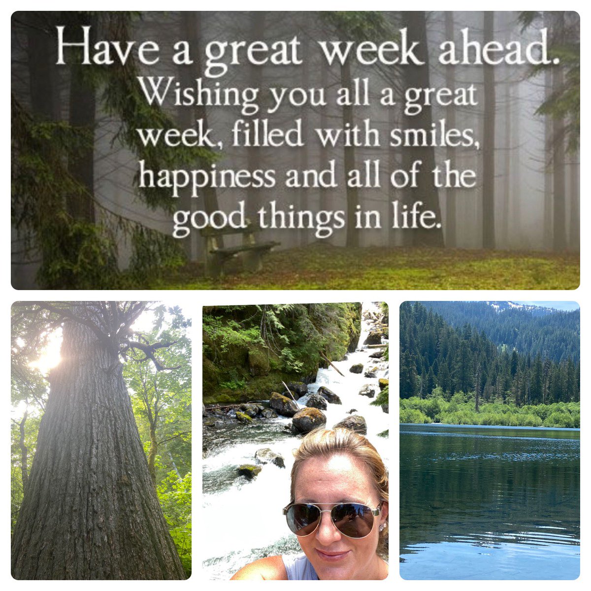 TiffB1203's tweet photo. Joy comes in the morning! My favorite part of the day. Have a wonderful week 😊#simplepleasures #happinessisachoice #morningvibes #positiveenergy #smilemore https://t.co/cUrJVzcCd9
