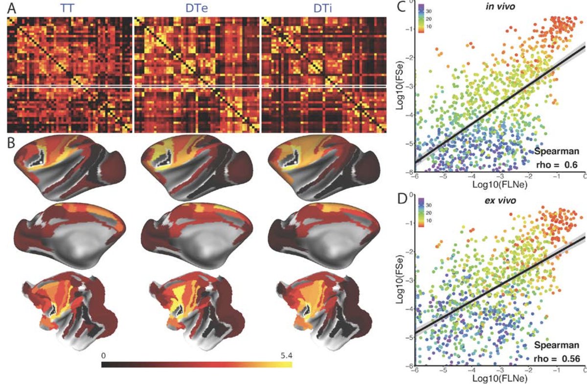 Simon Eickhoff tweet media