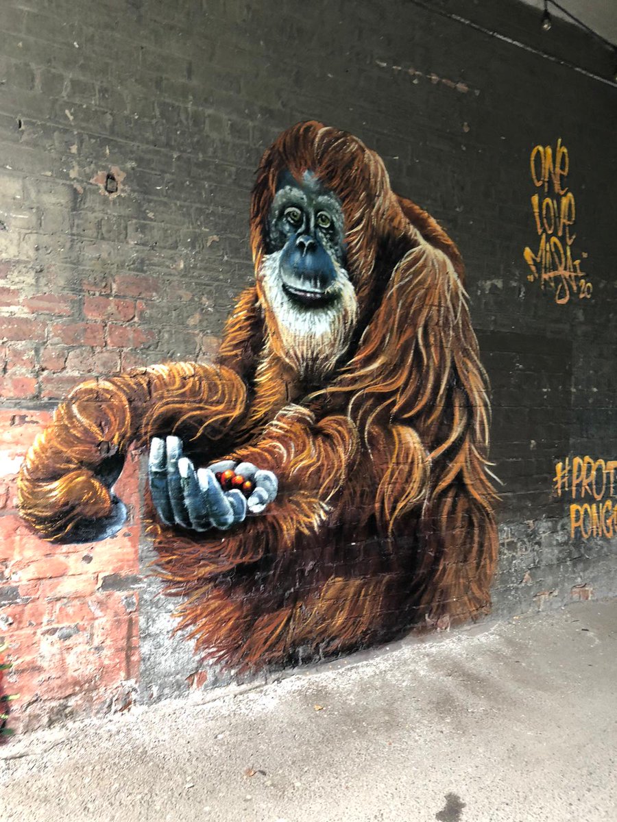 Pollokshields PS (@pollokshieldsps) on Twitter photo Primary 7a visited this amazing orangutan mural painted by <a href="/louismasai/">Louis Michel</a> at <a href="/ParkLaneMarket/">Park Lane Market</a>. We took sketches of the mural and read the poem we had created about the loss of animal habitats due to deforestation. #protectpongo Primary 7a visited this amazing orangutan mural painted by <a href="/louismasai/">Louis Michel</a> at <a href="/ParkLaneMarket/">Park Lane Market</a>. We took sketches of the mural and read the poem we had created about the loss of animal habitats due to deforestation. #protectpongo
