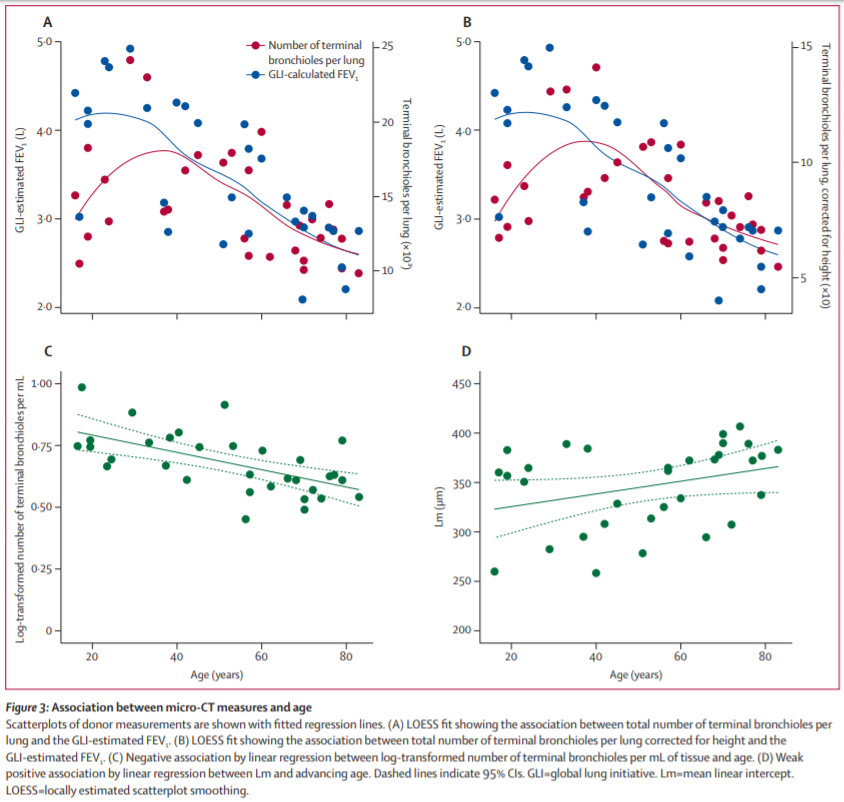 LancetRespirMed's tweet photo. NEW Research—Loss of terminal #bronchioles is an important structural component of age-related decline in #pulmonary function of healthy, non-smoking individuals

Study on small airway loss in the physiologically ageing lung from Prof Vanaudenaerde &amp; co https://t.co/9JtUnDozEN https://t.co/TX7W4QcOxG