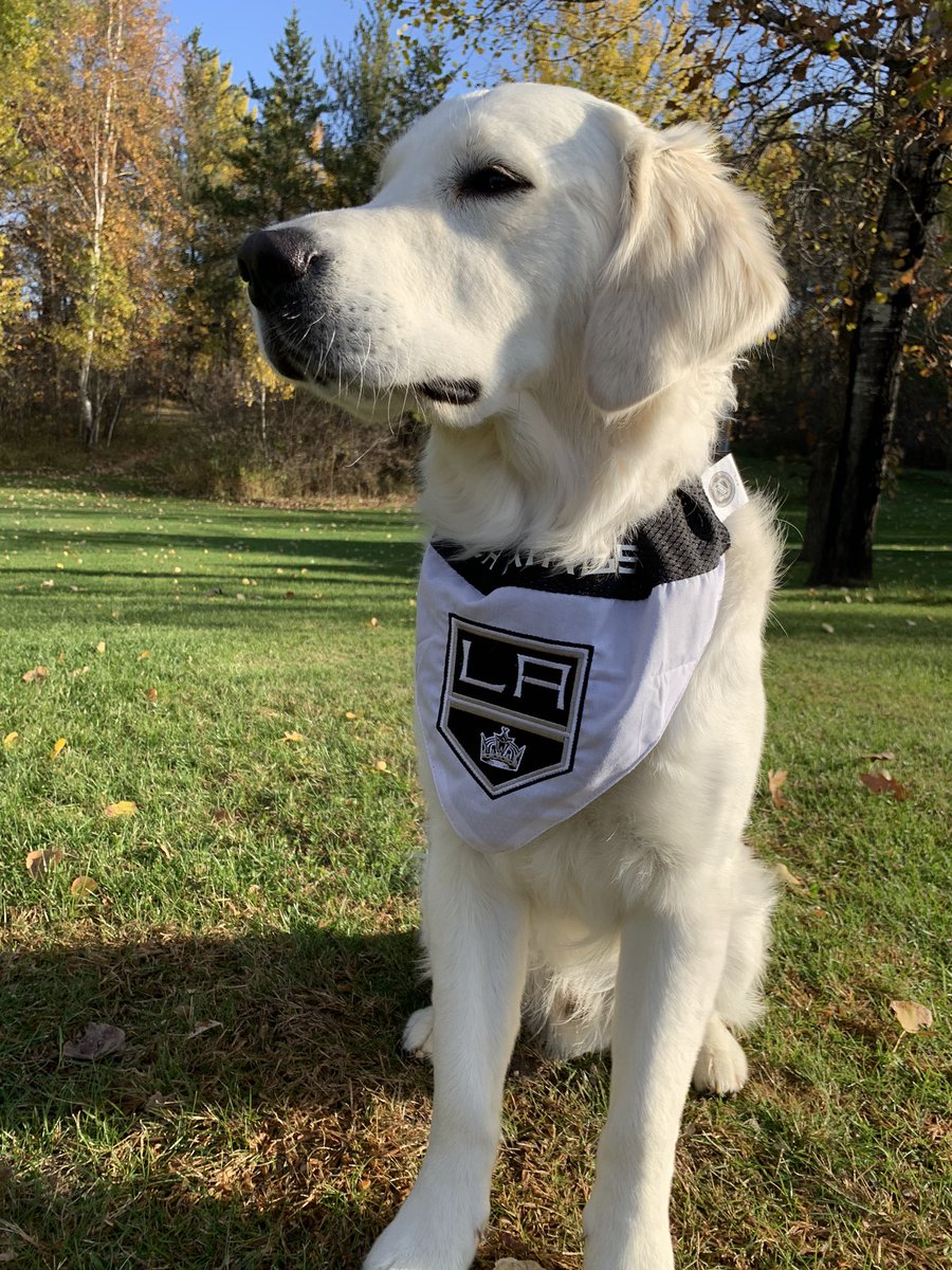 Teddy Belisle tweet media