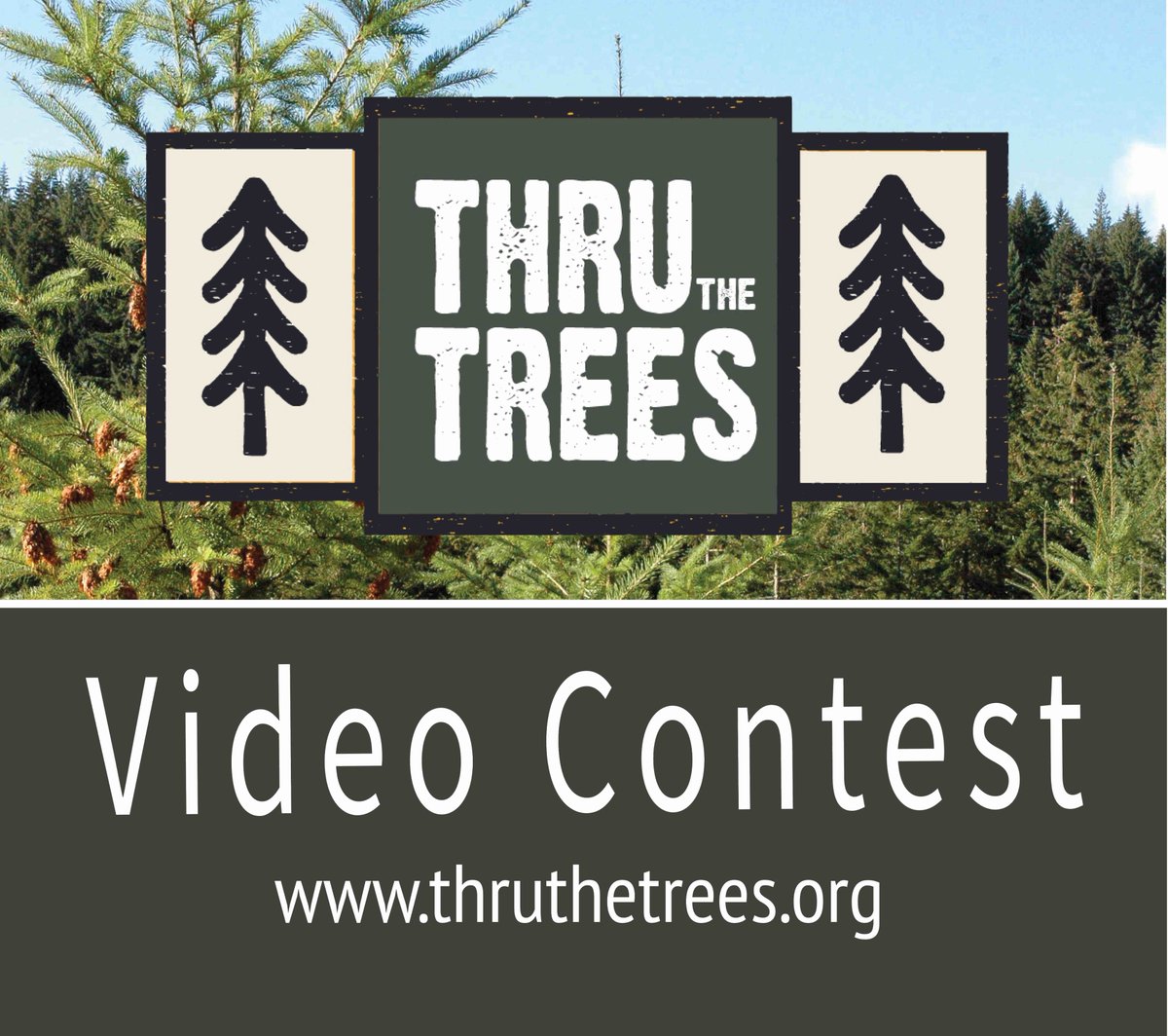 ForestResources's tweet photo. The Thru The Trees video contest for students ages 14-18 years in Washington, Oregon, Idaho and Montana is open! #ThruTheTrees gives students a chance to explore the diverse employment opportunities in the forest sector. Learn more below:
https://t.co/shEck25dQq https://t.co/lJcbMkyl8R