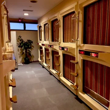 独特な宿泊施設、カプセルホテル！こんなことを考えながら宿泊すると一層楽しめる…？！