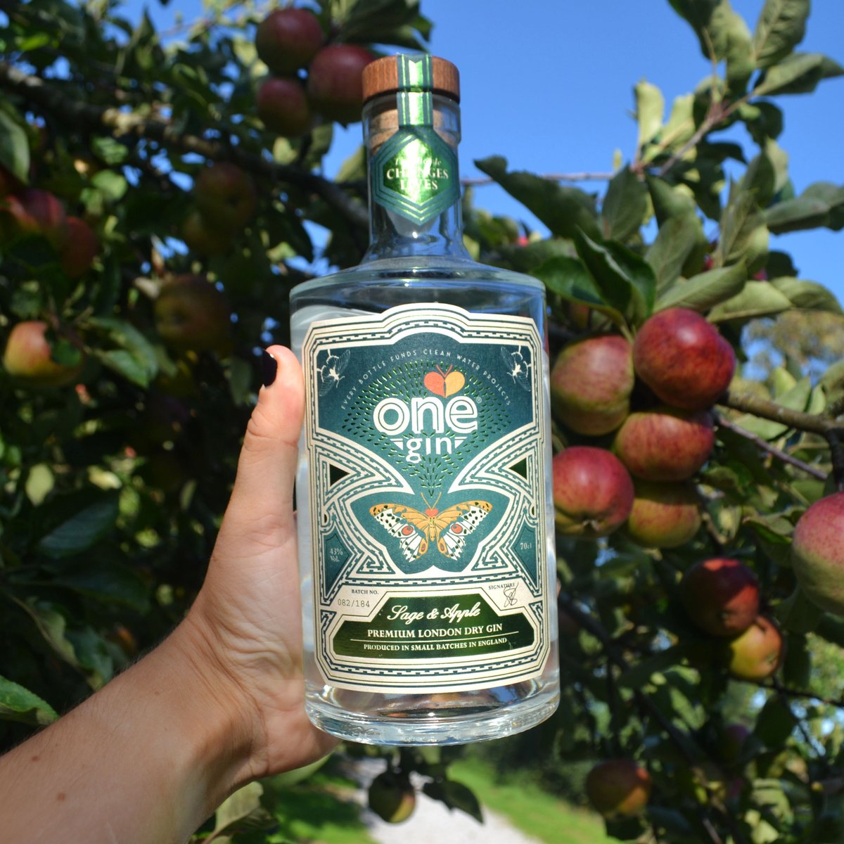 TheSpiritOfOne's tweet photo. A very special offer in honour of Apple Month: buy a bottle of One Sage &amp; Apple Gin for just £29 (RRP £36) at @Tesco to treat yourself to a refreshingly crisp G&amp;T or two at home this autumn. https://t.co/MHiNln39xA