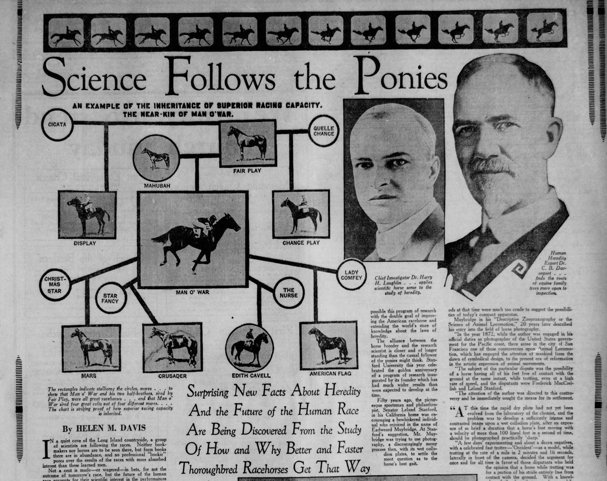 1) See this thread for concrete evidence of how Trump's touting of 'racehorse theory' is tied to eugenics  https://www.latimes.com/politics/story/2020-10-05/trump-debate-white-supremacy-racehorse-theory