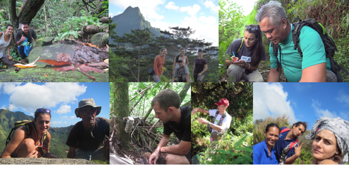 Grand merci à toutes ces personnes, collègues ou volontaires qui représentent une aide très précieuse dans mes recherches 🥰🐱🥰🐱
@PolynesieFr
#uahuka
#moorea
#tahiti 
#tahuata

funding : <a href="/OFBiodiversite/">Office français de la biodiversité</a>