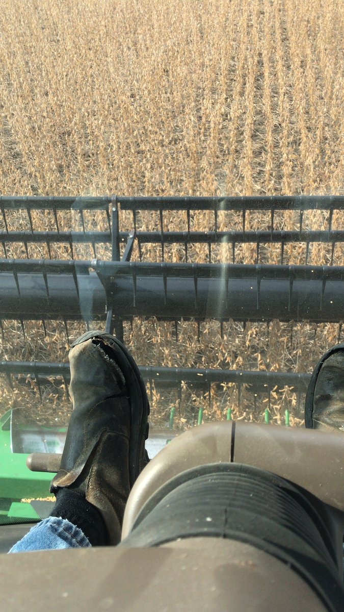 With beans going over 13 bucks might get myself new shoes