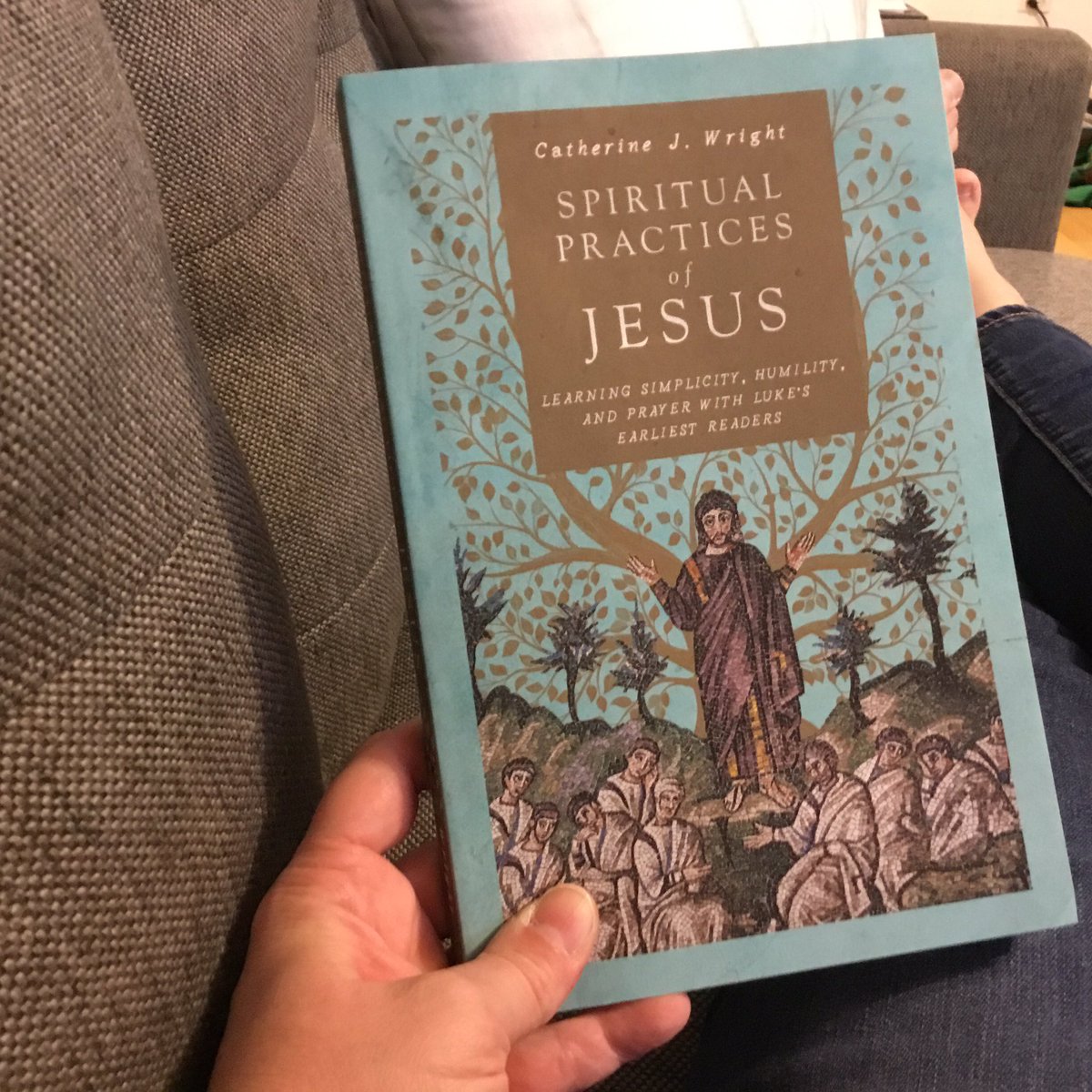 amgissing's tweet photo. _Spiritual Practices of Jesus_ releases today! Cathy Wright explores Luke’s portrait of Jesus, especially his practices of simplicity, humility, and prayer—practices we could all stand to lean into today. #newrelease #newtestament #readwomen #readivp #editorlife @ivpacademic https://t.co/xVhyZearY1