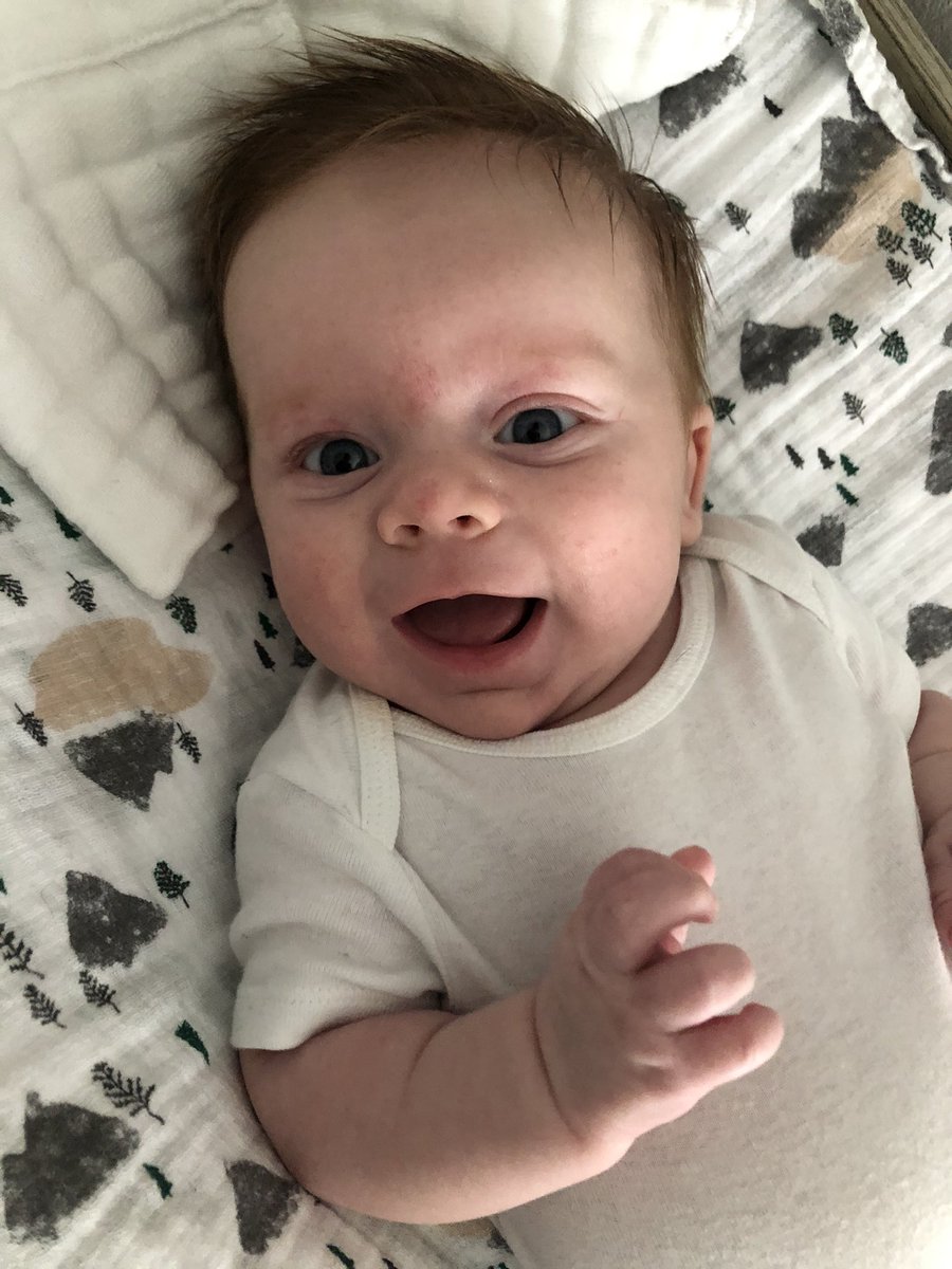 jlickteig013's tweet photo. The many faces of Brixton ππ#babybrix #adventuresofbrixton https://t.co/GphKRoC4bi