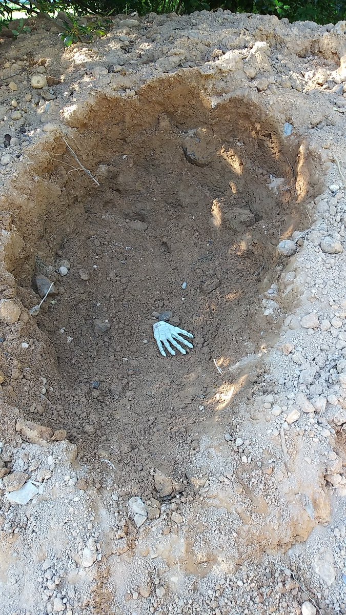 He's sent me a text that he took one truckload of dirt, and may come back tomorrow if he needs more.*Now* it would be funny to bury a skeleton hand, just in case.Hey! I could fit a body in there...  #Winning  #dirtpile