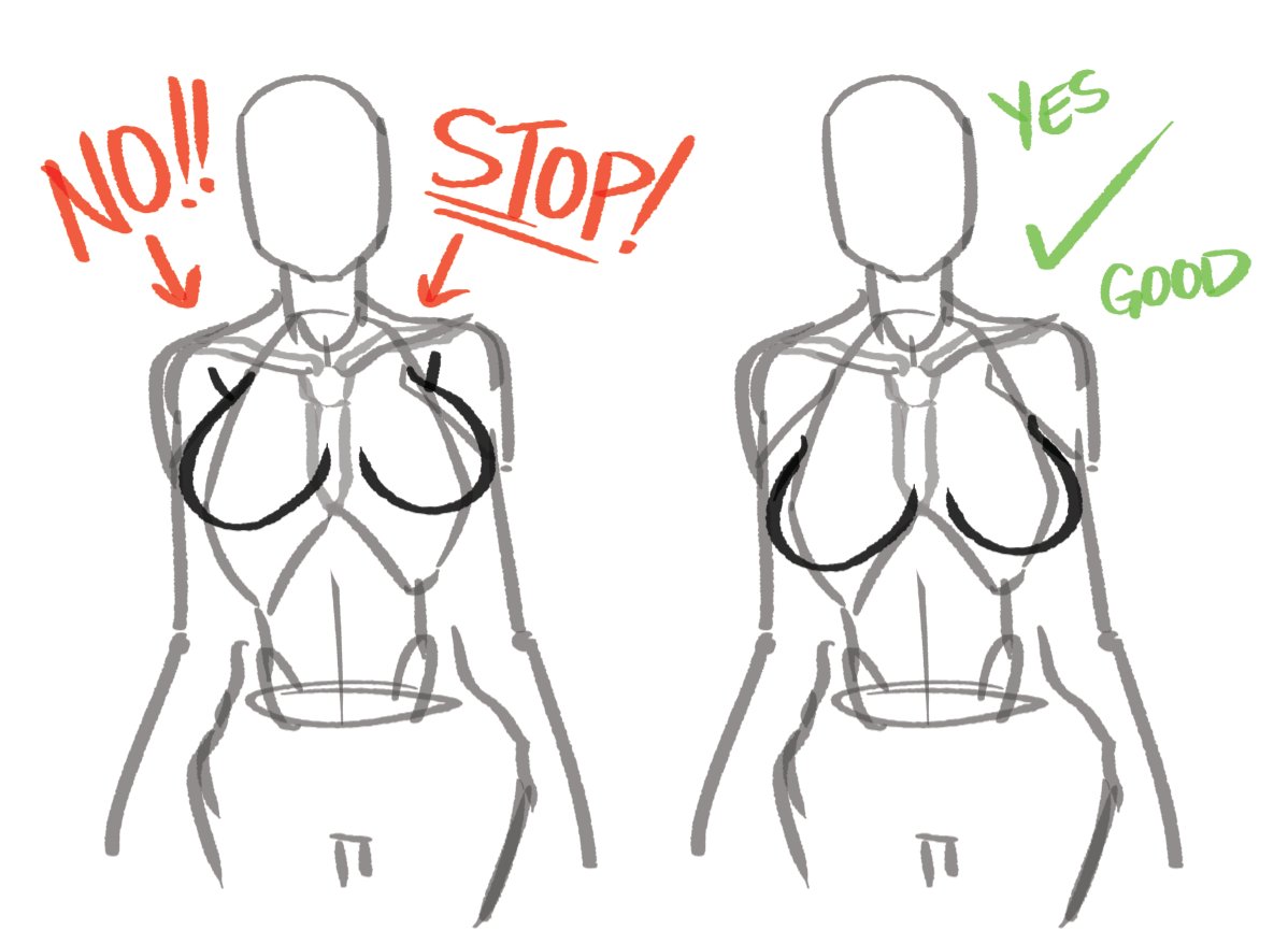 Meg Syv on X: Back at it with the Art Tips, and this one is about okay,  it's about boobs. BOOBS ARE NOT ATTACHED TO THE COLLARBONES. The bulk of  breast fat