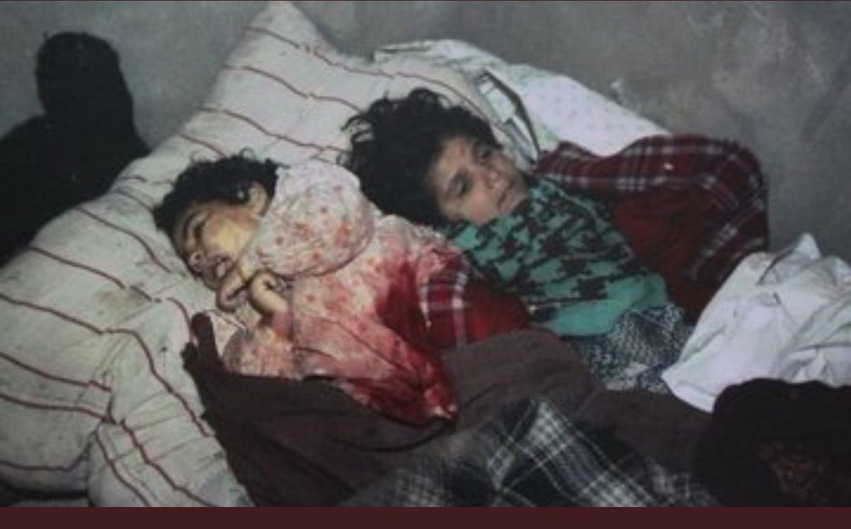 Children are being killed. Families are being slaughtered. Houses are being bombed. This is the evil. It's unscrupulous. DON't STOP!🇹🇷🇦🇿

Uşaqlar öldürülür. Ailələr öldürülür. Evlər bombalanıb. Bu pis. Bu, vicdansızlıqdır. #DontBelieveArmenia #StopArmenianAggression