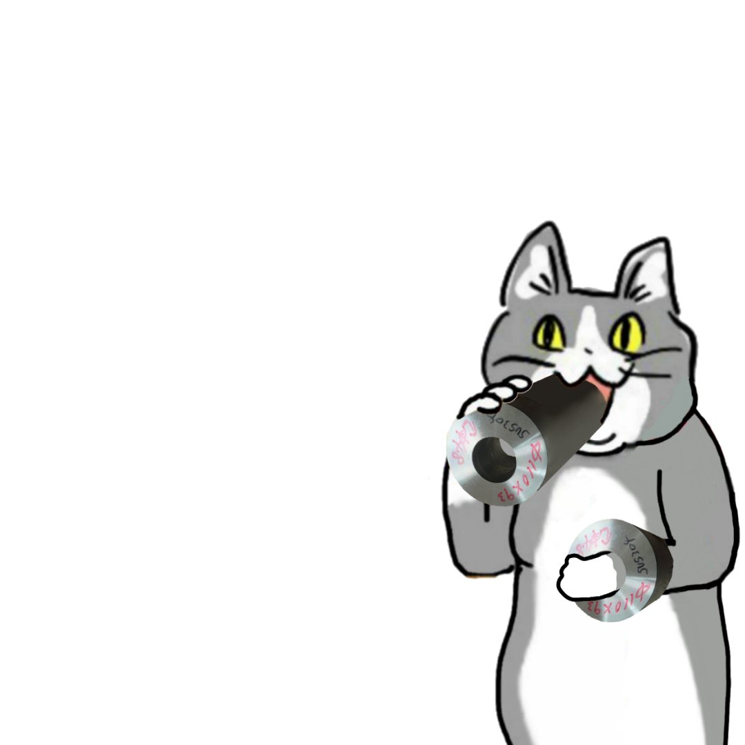 no humans white background simple background cat animal focus solo animal  illustration images