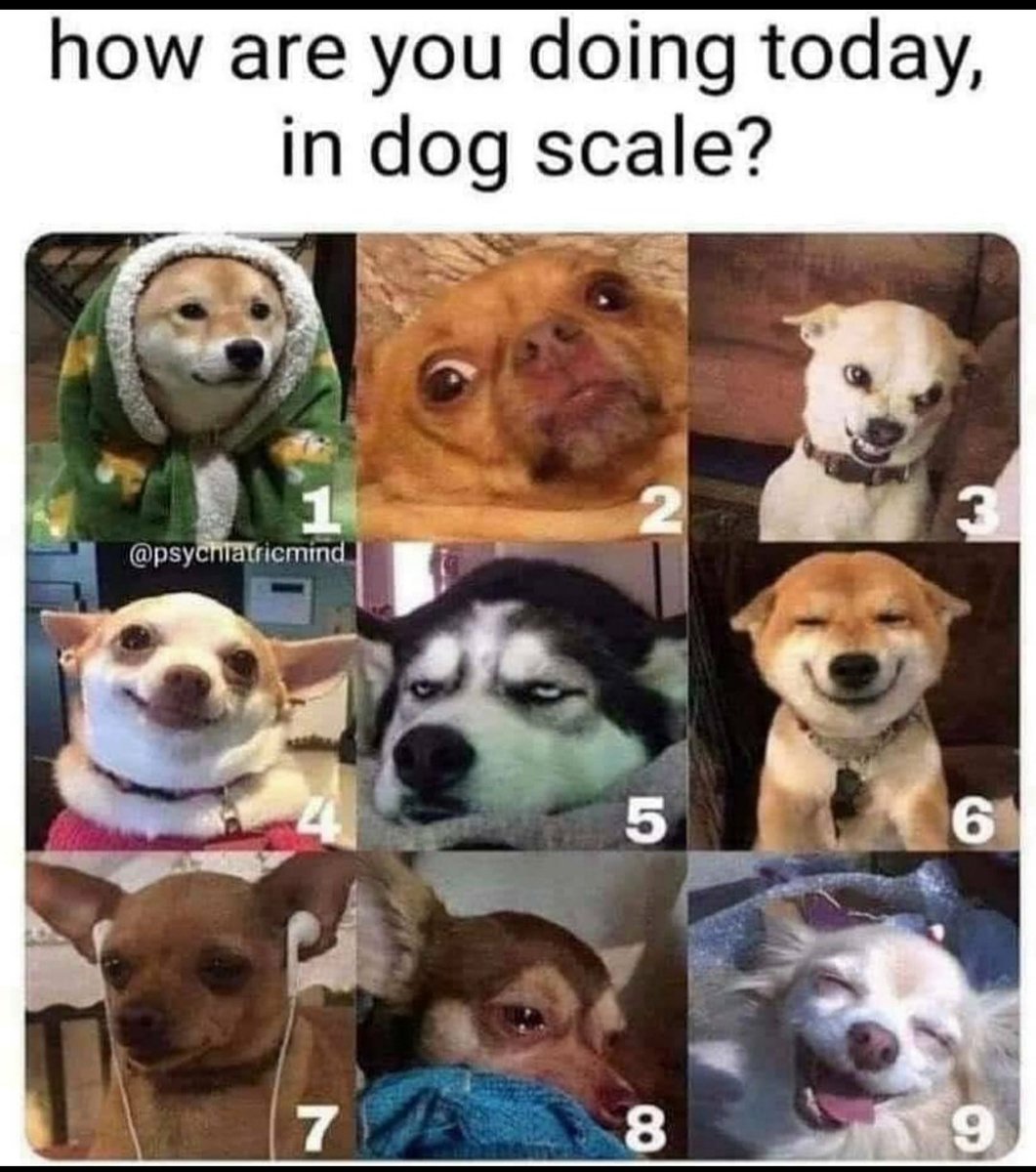 AzTheBeat's tweet image. I'M A SOLID 9! 🤘🏽 - @MrRascal