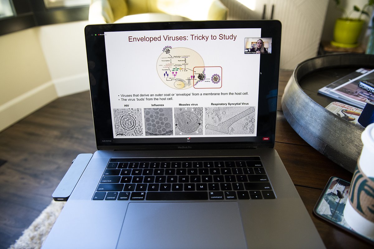EMSLscience's tweet photo. Welcome back to #EMSLIntegration2020 live! Elizabeth Wright from @UWBiochem is kicking off Day 2 discussing the recent developments in whole-cell cryo-electron tomography. https://t.co/StgExJu2DP