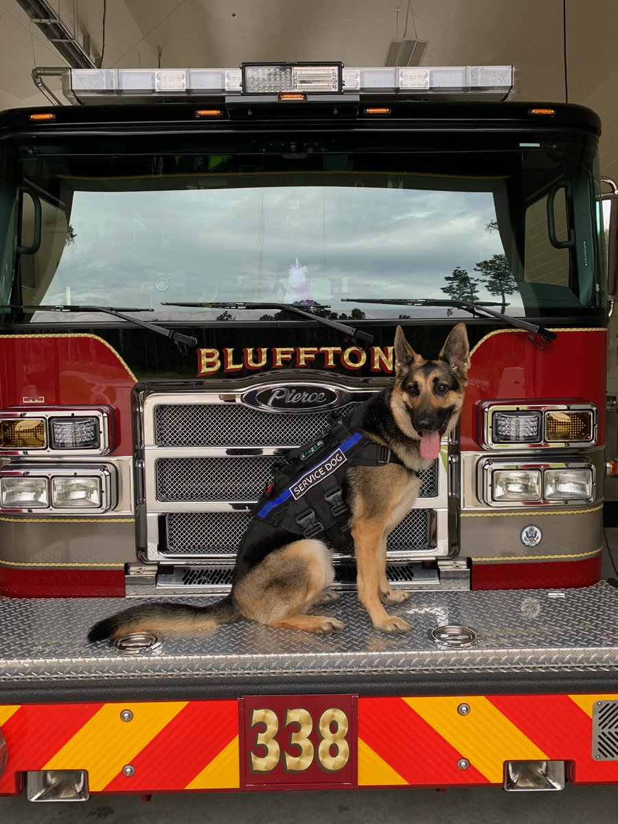 MaverickPTSDdog's tweet photo. Enjoying training with @BlufftonFire for two days on Rhodiun @RhodiumSuite. https://t.co/mIrRADb2C1