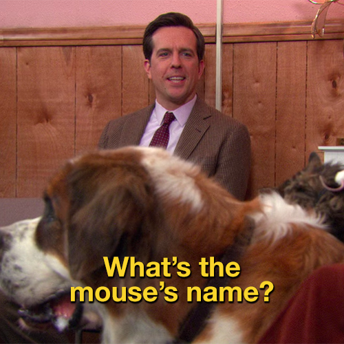 andy bernard from cats