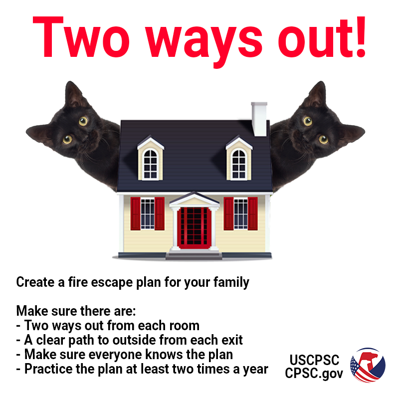 Two black cats sticking their heads out from behind a house. The text reads: Two ways out! Create a fire escape plan for your family. Make sure there are: Two ways out from each room. A clear path to outside from each exit. Make sure everyone knows the plan. Practice the plan at least two times a year.