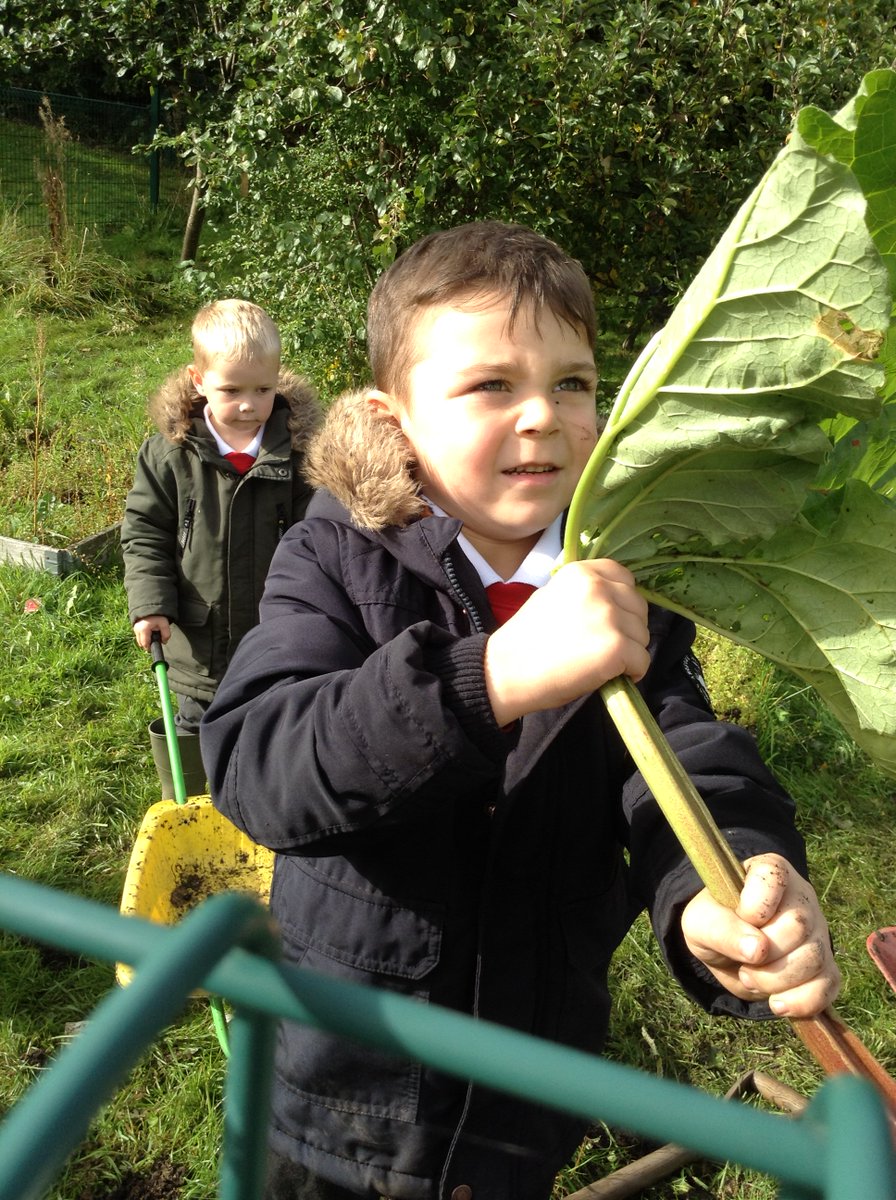 Clearing the allotment is so much easier when you have friends to help! But beware of the centipedes!!! #teamwork #outdoorlearning