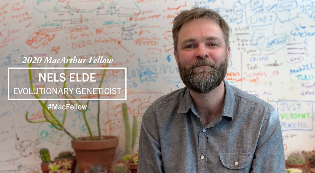 Nels Elde (@elearlybird) on Twitter photo Ok, wow. Being named a 2020 MacArthur fellow is a wild and unexpected honor. I am humbled and inspired to join an incredible group of creative people doing amazingly cool things in the world. <a href="/Macfound/">MacArthur Foundation</a> #MacFellow Ok, wow. Being named a 2020 MacArthur fellow is a wild and unexpected honor. I am humbled and inspired to join an incredible group of creative people doing amazingly cool things in the world. <a href="/Macfound/">MacArthur Foundation</a> #MacFellow