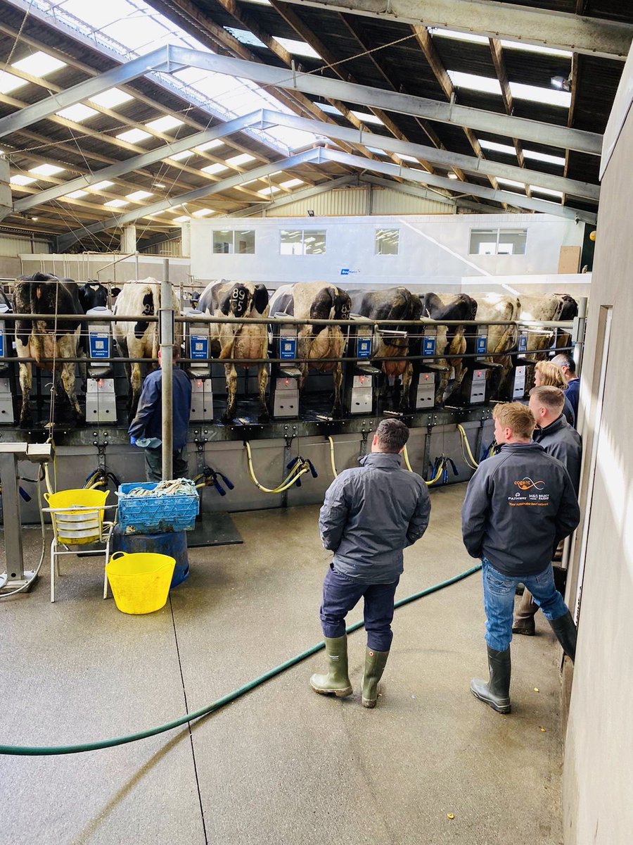 cogentbreeding's tweet photo. Our Beef Team were at Balmangan Farms in South West Scotland yesterday working on some exciting projects that are to be revealed in due course... 📸 🎥 🥩
Watch this space!
#IntegratedBeef
#SupplyChain
#AberdeenAngus
#DairyBeef
#PathwayFarming
#BalmanganFarm https://t.co/EtnDerKXSP