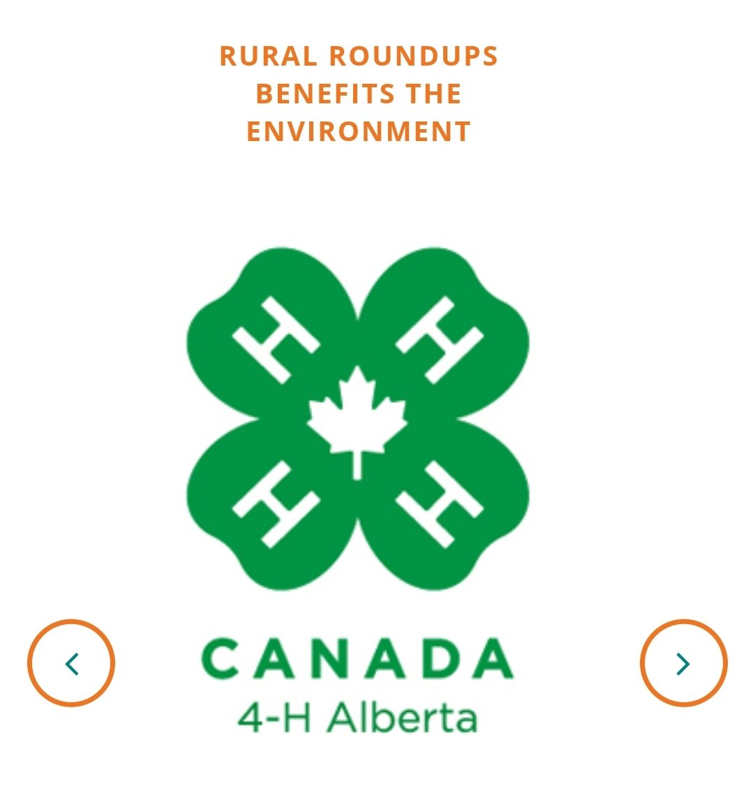 Loyalton Strategies (_Loyalton) Twitter