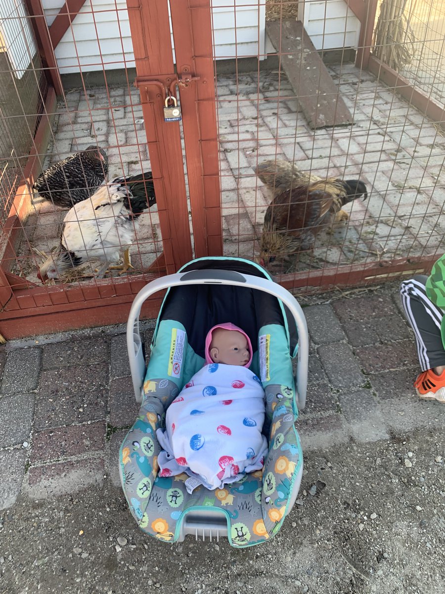 DoblerMichelle's tweet photo. One of our babies got to go to the Pumpkin Patch this past weekend! I'm so glad our students still get to experience this project even in remote learning! #CLSEngaged #D155Inspire https://t.co/hWYhacSnmo