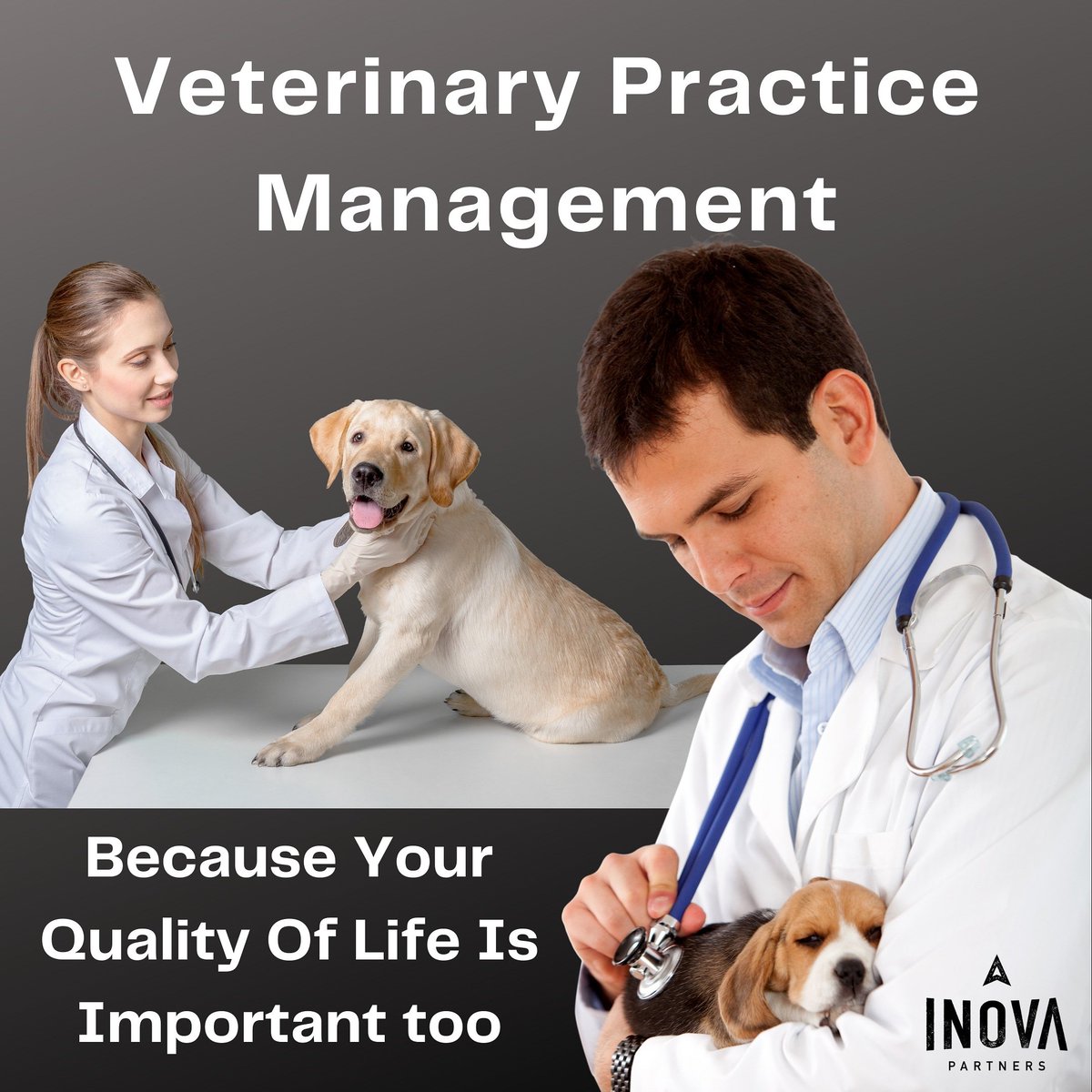 InovaPartners's tweet image. Let us take the weight of practice management off of your shoulders. 

#veterinarymedicine #veterinary #veterinarian #vetmed #vet #vetlife #vettech #vetstudent #veterinaria #vettechlife #veterinarytechnician #vetnurse #medvet #vetschool #veterinarylife #veterinaryclinic