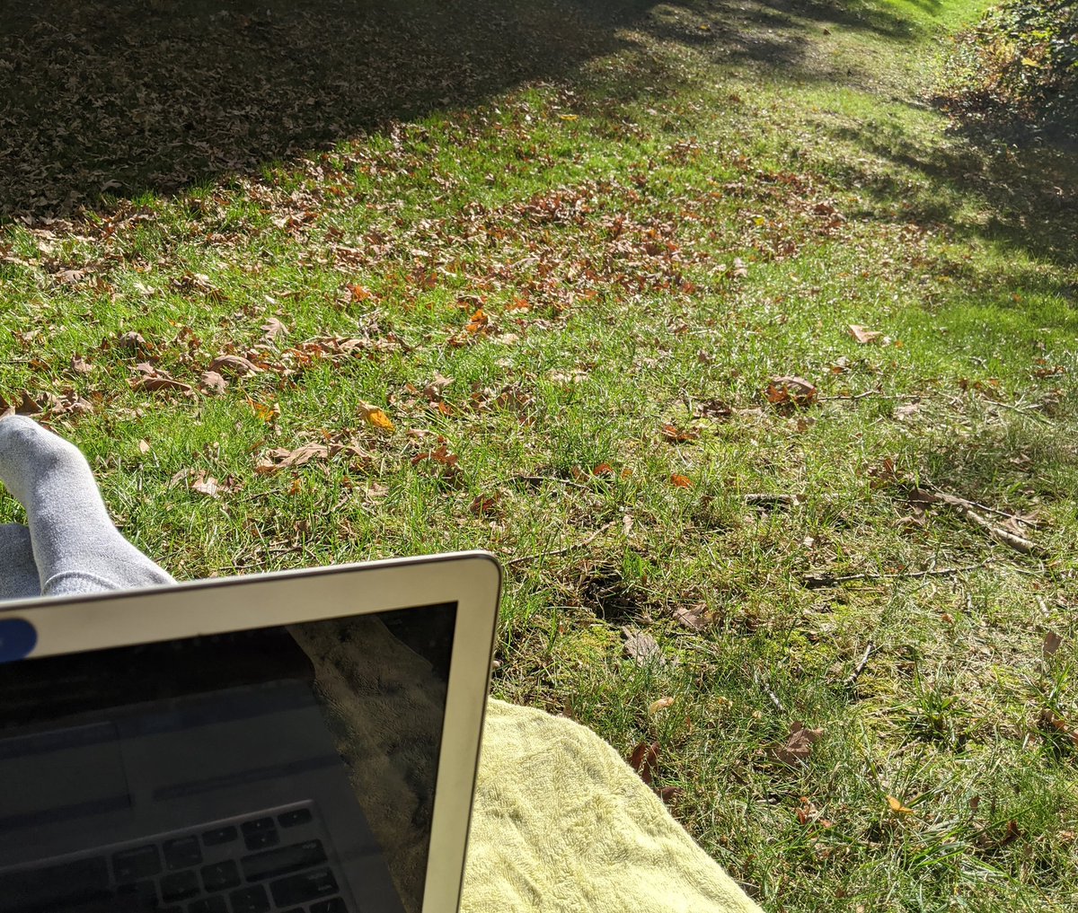 Mara_Shayne's tweet image. Just discovered that I have internet access outside in the patch of sun by my parents house. #brb I'll be working from this spot until the sun moves #mnfall