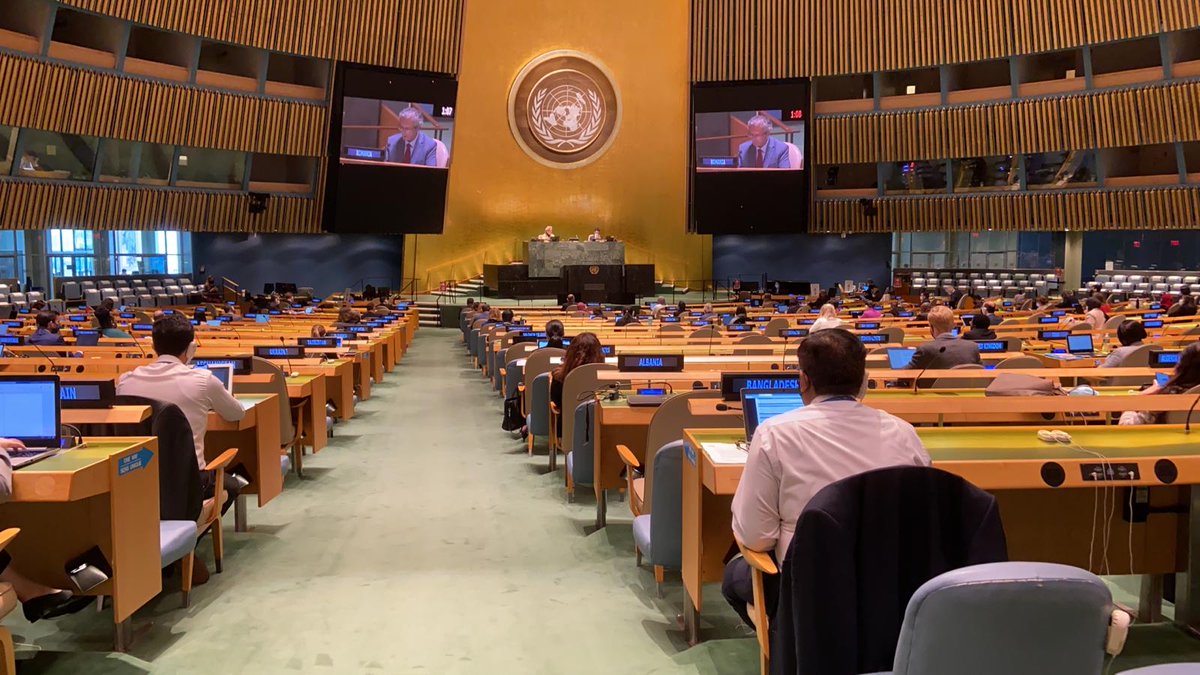 Amb. @IonJinga and the RO youth delegates @Ro_UNYD delivered RO statement at the ThirdCommittee #3C #UNGA75 general debate highlighting the importance of youth participation and of the promotion of women rights