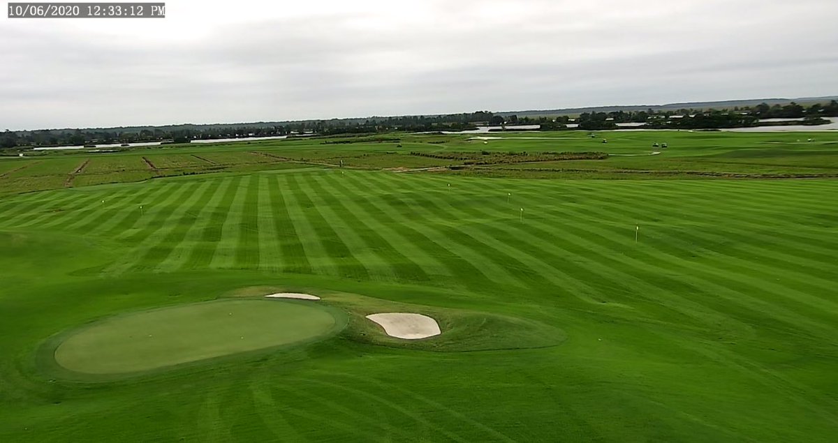 Perennial Ryegrass has arrived... got a #goodcatch