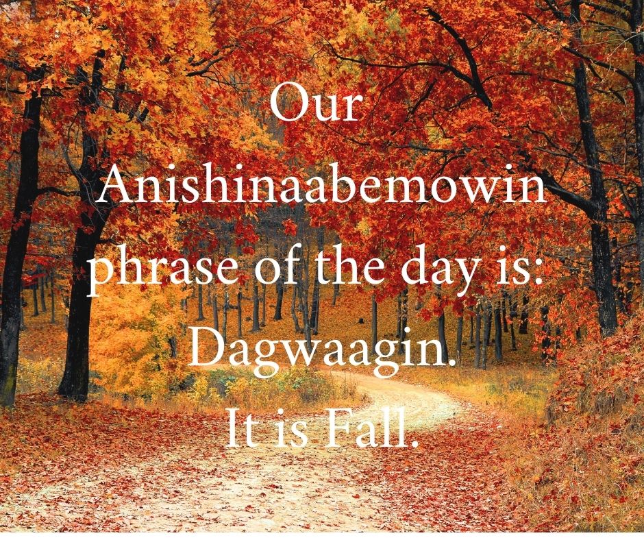 #Anishinaabemowin #Ojibwe
