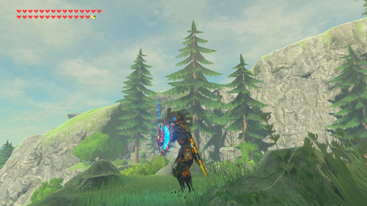 _ElDimas's tweet image. #BreathoftheWild #NintendoSwitch
