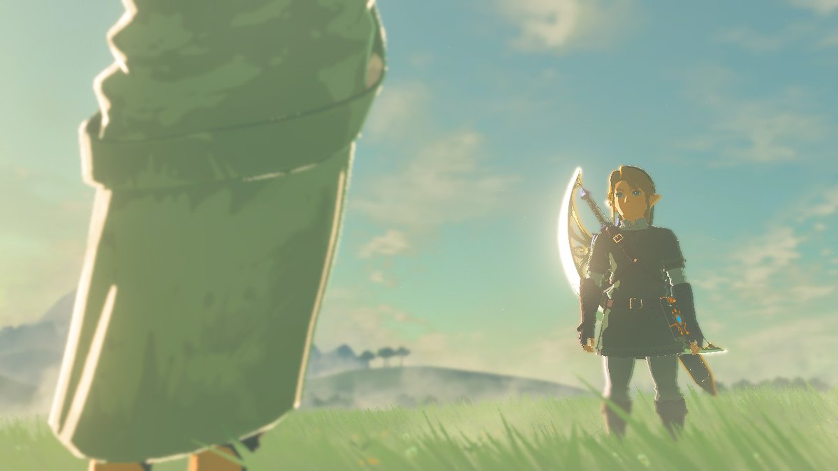 _ElDimas's tweet image. #BreathoftheWild #NintendoSwitch