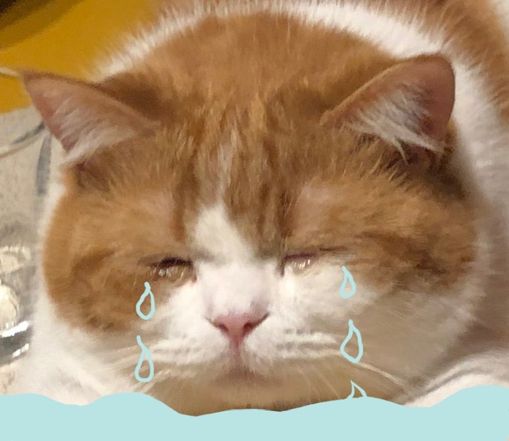 sengcloud__'s tweet image. 뭣같은 친구들 덕분에 본계버린 하늘입니다~~ 저 진짜 탐라에서 혼잣말 많은데 시끄러운 친구 데려가실 분 

마음찍으면 팔로우 걸게욤
#하늘_트친소 #하성운_트친소
#하늘트친소 #하성운트친소