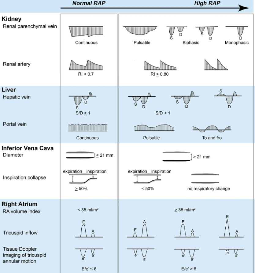 Mark Ramzy Do Emt P On Twitter More On Vexus At Resusx20 Via Emnerd Cant Be Used In Isolation Serves To Provide Additional Information Https T Co Lkt22vlhqw Via Thinkingcc Khaycock2 Emcrit Wbeaubien Foamed Foamus