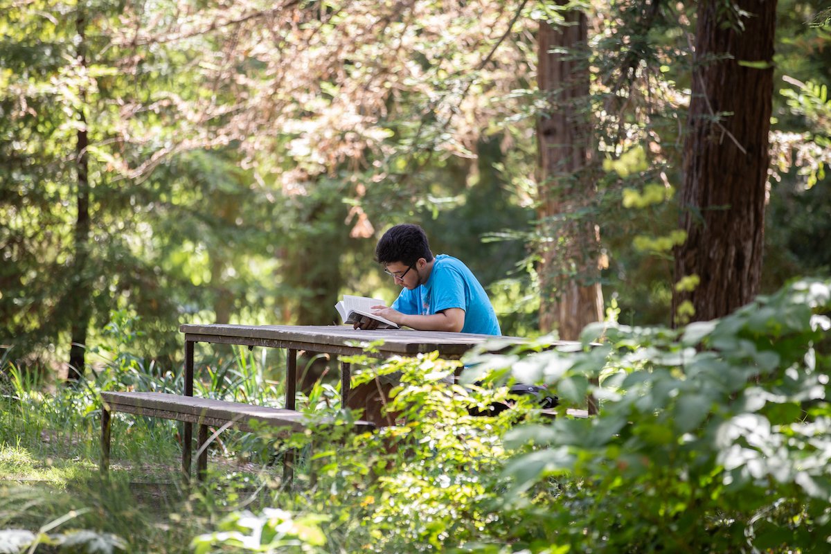 Student reading a book at a picnic table 