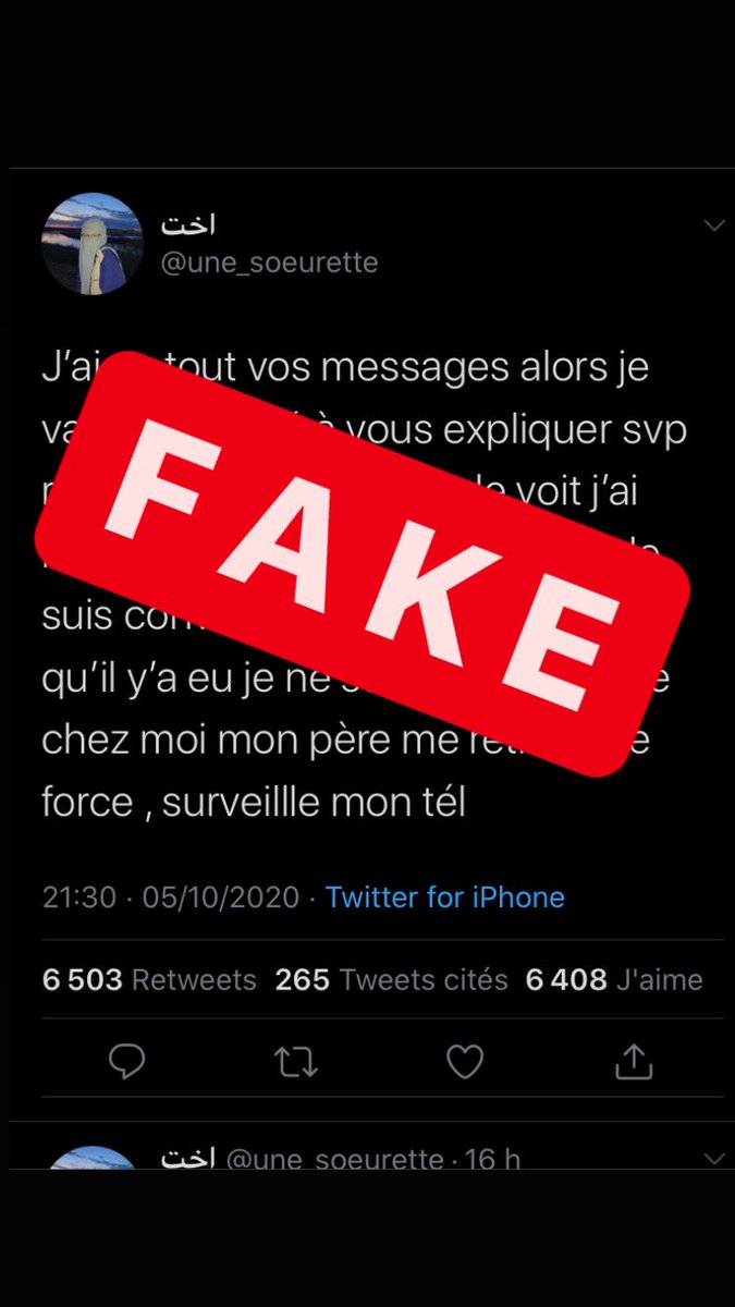 Les preuves du fake - thread