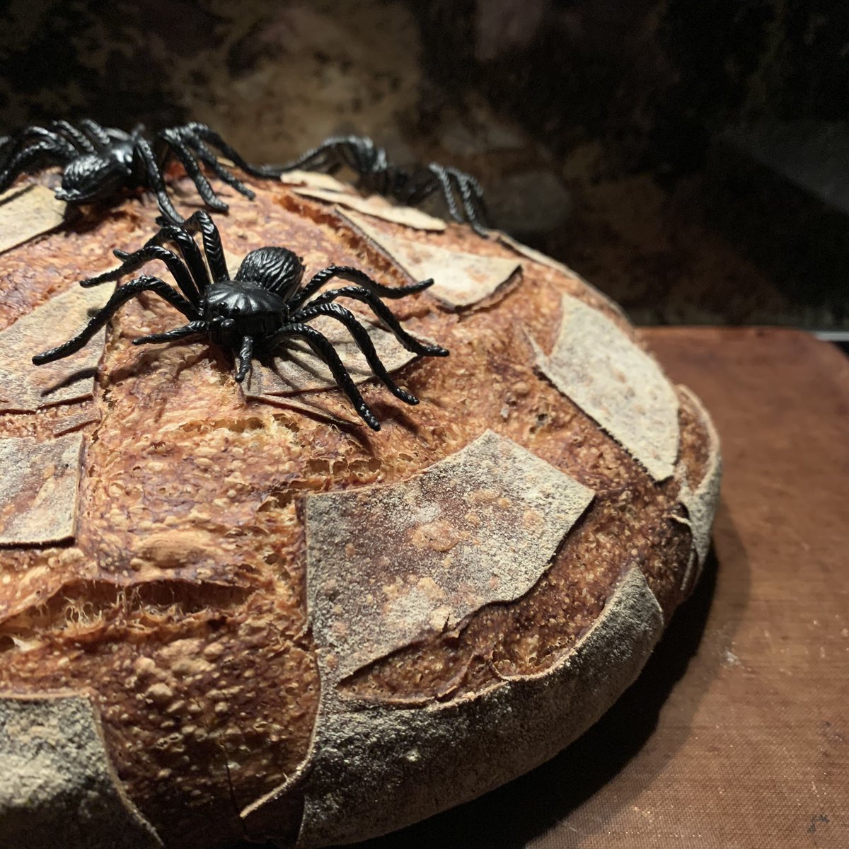 #GBBO #Breadweek in October. That calls for a #spooky #sourdough. Bring on the #bread. 

Best of luck bakers, may the bread gods be with you. 

#tbt #halloweenbaking #Halloween
