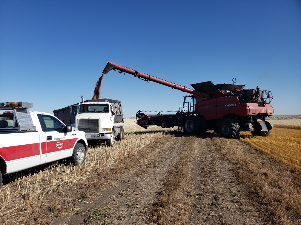 Prairie Coop AG Team tweet media