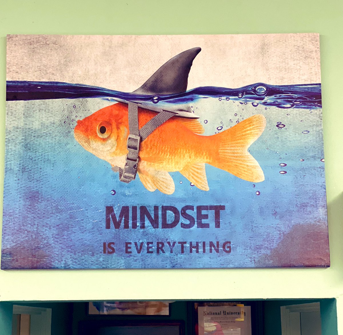 SurfsideK5's tweet photo. We celebrate all sharks. 

@SurfsideK5 @SurfsideOUSD @OsideUSD https://t.co/RVMGdRwkAJ