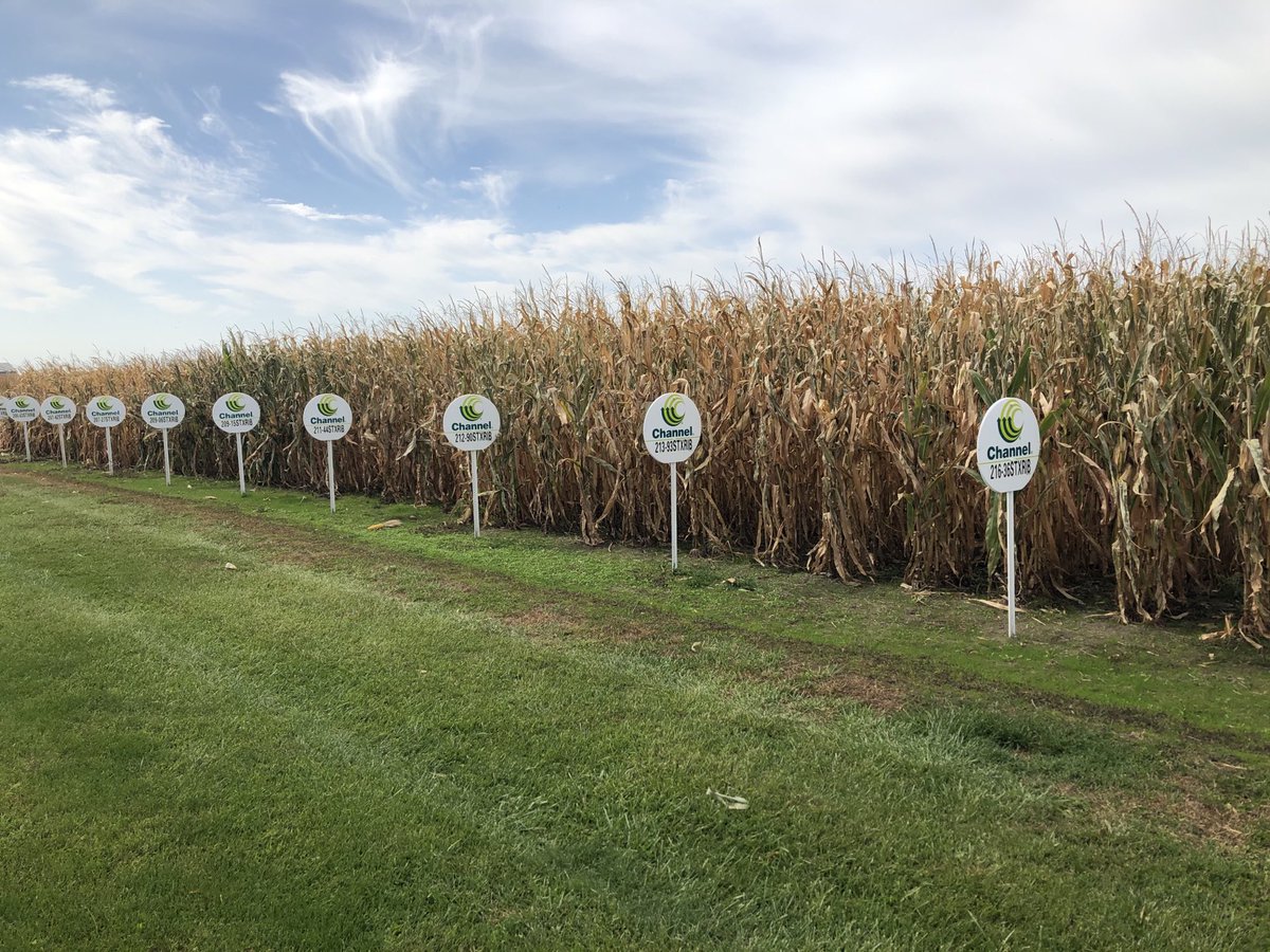 Jason Jordal tweet media