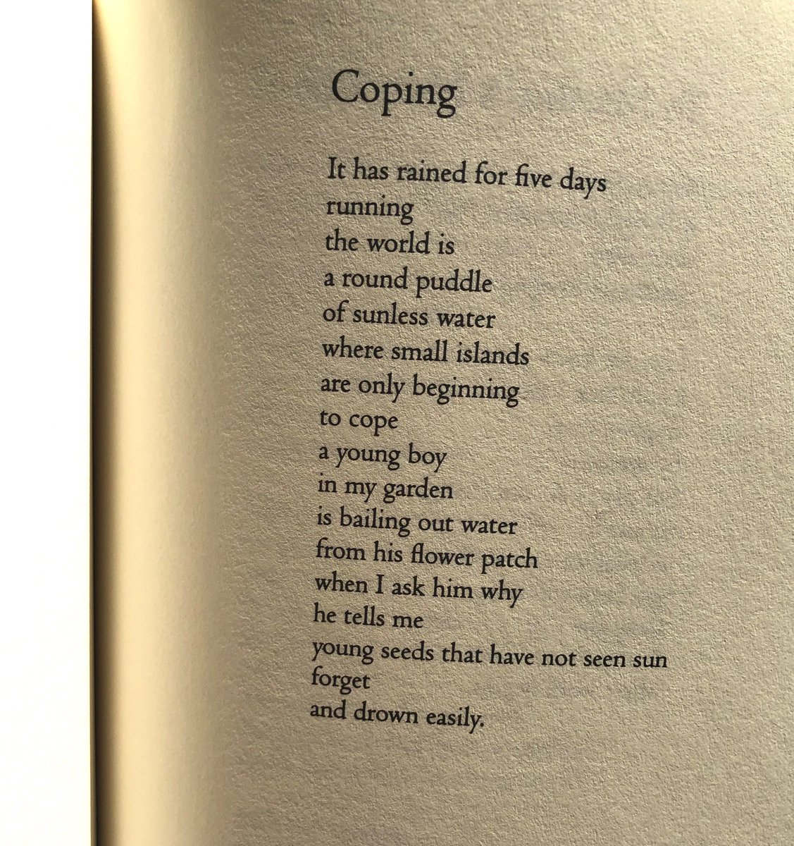 audre lorde essays audre lorde essays